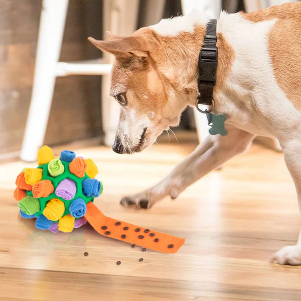 Slow Feeder pet Interactive Toy