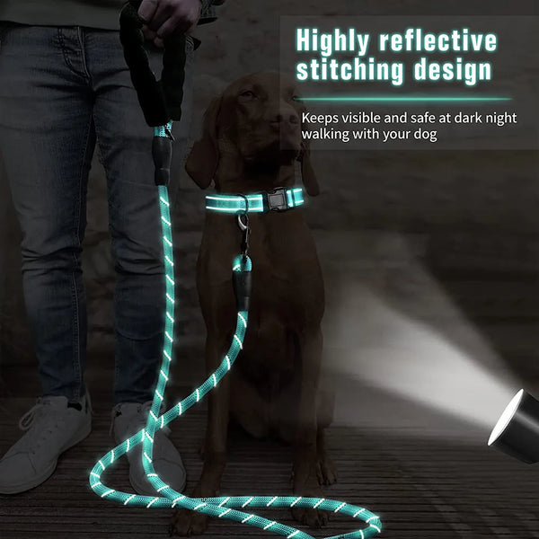 Minpup™ Night Reflective Dog Leash with Comfortable Padded Handle