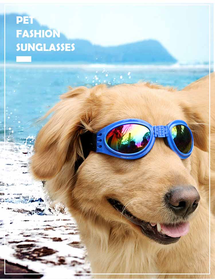 Pet UV Fashion Sunglasses